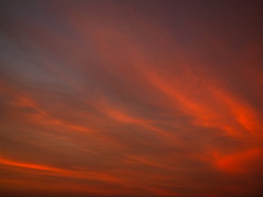 Güneşin doğuşu, gün batımı, gün batımı, gün batımı, güneş ışığı, güneş ışığı, güneş ışığı, güneş ışığı, turuncu güzellik, turuncu renk, yaz, güneş ışığı, sabah, aydınlık, aydınlık, güneşli, aydınlık, aydınlık, aydınlık, aydınlık, gün batımı..