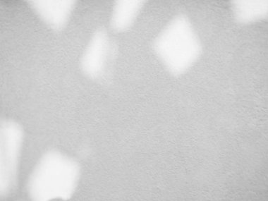 Gölge Yaprağı Yaprakları Ağaç Yaprakları Yaz Tropik Arkaplanı Bitki Beyaz Işık Dalları Duvarı Güneş Işığı Efekti Pencere Ev Işığı Minimum Moklandırma Sahnesi Şablonu Boş Arkaplan.