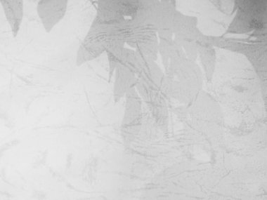 Gölge Yaprak Ağacı Tropik Yazı Arkaplan Bitkisini Beyaz Çiçek Doğası Yapraklarını Kaplıyor Soyut Duvar Şablonu Tropik Güneş Efekti En Küçük Moda Sahne Arkaplanı.