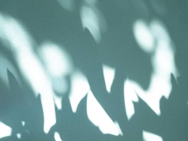 Teal Arkaplan Ürünleri Mavi Gölge Duvarı Minimum Estetik Yeşil Turkuaz Nane Şekli Soyut Çiçek Şablonu Yaprakları Modern Işık Şablonu Taklit Arkaplanı.