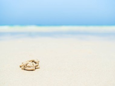 Deniz Arkaplanı Bulanık Kıyı Mavi Su Beyaz Gökyüzü Yaz Tropikal Okyanus Güzel Dalgalar Deniz Burnu Pürüzsüz Duvar Kağıdı Adası Tropikal Kıyı Doğası Seyahat Alanı.