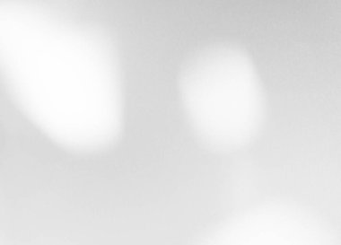 Gölge Arkaplan Efekti Siyah Çerçeve Duvarı Aydınlatıyor Beyaz Kaplama Santrali Soyut Güneş Işığı Örtüsü Minimum Yaz Tropik Ağacı Zemin 3d Bg Bg Odası Dış Yüzey Çerçevesi.