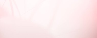 Pembe Gölge Arkaplan Yaprak Kaplama Yaprak Soyut Şablonu Yaz Duvarı Mozaik Güzellik Çiçek Bej Kremi Şeftali Renk Arkaplan Lüks Çerçeve Kalıbı Pastel.