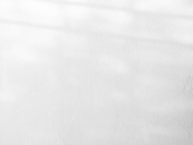 Gölge Efekti Siyah Çerçeve Gri Yaprak Kaplaması Ağaç Yaprakları Tropik Yazı Yaprakları Beyaz Yer Soyut Güneş Işığı Arkaplanı Minimum Model 3d Bg Duvarı Güneş Sahnesi.