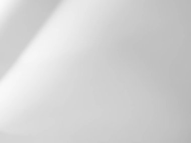 Gölge Efekti Siyah Çerçeve Gri Yaprak Kaplaması Ağaç Yaprakları Tropik Yazı Yaprakları Beyaz Yer Soyut Güneş Işığı Arkaplanı Minimum Model 3d Bg Duvarı Güneş Sahnesi.