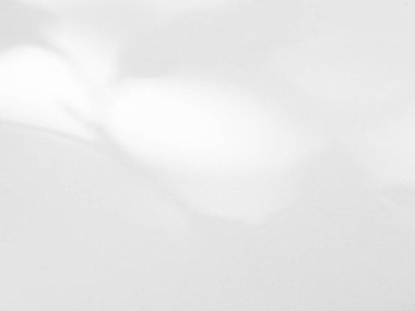 Gölge Efekti Siyah Çerçeve Gri Yaprak Kaplaması Ağaç Yaprakları Tropik Yazı Yaprakları Beyaz Yer Soyut Güneş Işığı Arkaplanı Minimum Model 3d Bg Duvarı Güneş Sahnesi.