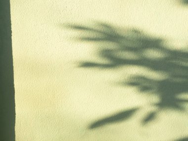 Gölge Arkaplan Yeşil Efekt Yaprak Çimento Duvarı Çerçeve Kalıbı Arkaplan Tropik Ağaç Arkaplanı Yaz Bitkisi Güneş Işığını Beyaz Asgari Manzara Mermer Soyut Şablon Bg Modeli Yapıyor.