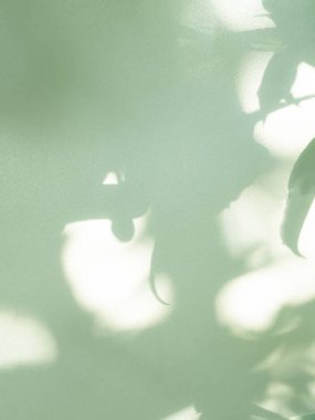 Yeşil Gölge Arkaplanı Soyut Kaplama Yaprak Duvarı Asgari Satış Malzemesi Güzellik Ürünü Kozmetik veya Çevre Platformu Işık Arkaplan Çerçevesi Doğa Grameri Pastel Yaz Makyajı