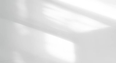 Gölge Arkaplan Gün Işığı Beyaz Arkaplan Santrali Güneş Işığı Model Güneş Şablonu Yaz Siyah Şablonu Modern Zemin 3d Bg Çimento Asgari Zemin Boş.