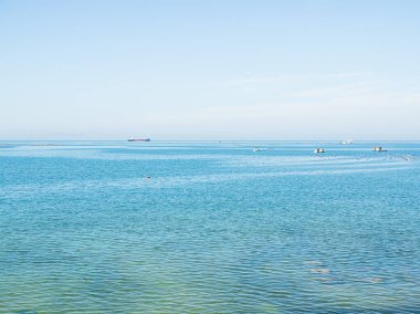 Deniz Okyanusu Su Görüntüsü Balıkçı Mavi Gökyüzü Dalgası Sükunet Yüzeyi Yaz Seyahati Temiz Gün Işığı Sahil Adası Sahne Arkaplan Çevre Turu Tropikal Doğa.