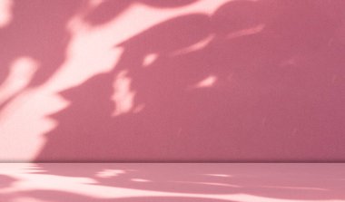 Pembe Arkaplan Stüdyosu Gölge Işık Soyut Bahar Masası Kozmetik Güzellik Podyumu Yumuşak Sahne Arkaplan Duvarı Görünüm Görünüm Masası Kalkıyor.