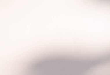 Beige Background Shadow Plant Leaf Tree Nature Wall Light Floor Abstract Branch Backdrop Pastel Nude Color Shade Cement Blur Foliage Empty Mockup Product Beauty Cosmetic Presentation Templete Card.