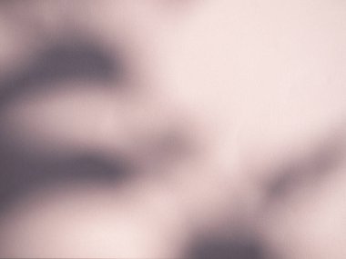 Beige Background Shadow Plant Leaf Tree Nature Wall Light Floor Abstract Branch Backdrop Pastel Nude Color Shade Cement Blur Foliage Empty Mockup Product Beauty Cosmetic Presentation Templete Card.