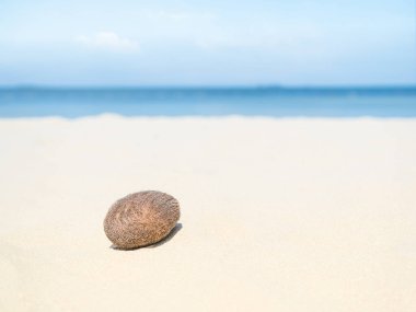 Travel Nature Concept, Sea Sand Background Blue Water at Coast Season Summer Tropical Ocean Beautiful Wave Seascape Vacation Smooth Wallpaper Island Outdoor Tropical Coast Sandy Nature Landscape.