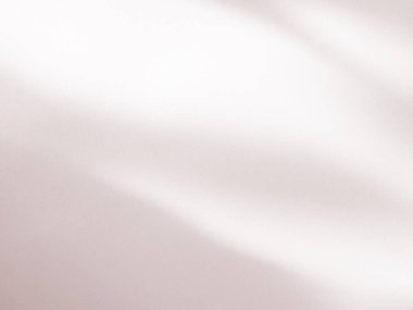 Beige Background Shadow Plant Leaf Tree Nature Wall Light Floor Abstract Branch Backdrop Pastel Nude Color Shade Cement Blur Foliage Empty Mockup Product Beauty Cosmetic Presentation Templete Card.