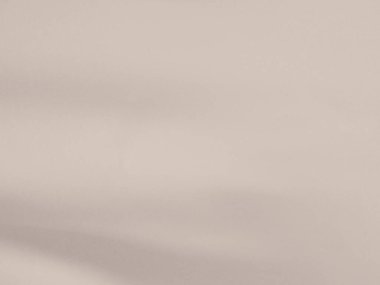 Beige Background Shadow Plant Leaf Tree Nature Wall Light Floor Abstract Branch Backdrop Pastel Nude Color Shade Cement Blur Foliage Empty Mockup Product Beauty Cosmetic Presentation Templete Card.