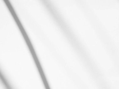 shadow Background Wall Light White Abstract Overlay Plant Backdorp Sunlight Mockup Minimal Gray Summer Black Photography Floor blur Cement Grey Minimal Product Beauty Cosmetic Presentation Template.