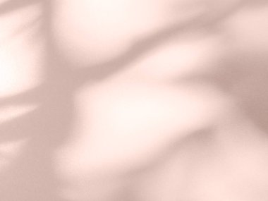 Beige Background Shadow Plant Leaf Tree Nature Wall Light Floor Abstract Branch Backdrop Pastel Nude Color Shade Cement Blur Foliage Empty Mockup Product Beauty Cosmetic Presentation Templete Card.