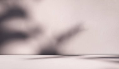 Bej Arkaplan 3d Kahverengi Duvar Arkaplanı Işık Mutfak Sahnesi Podyum Kozmetik Güzellik Gölgesi Güz Pembe Stüdyo Stüdyosu Çıplak Renk Daire Boş Yaz Şablonu Minimum.