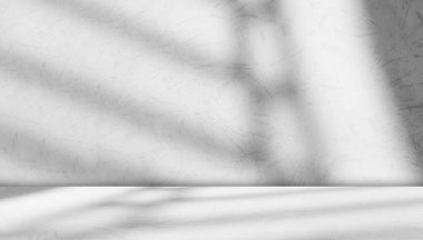 Arka plan Zemini Gölgesi Mutfak Beton Beyaz Doku Aydınlatma Özet Model Model Ürün Odası Mermer Stüdyo Görünüm Tesisi Çimento 3d Bg Asgari Baraj Çubuğu Silueti Arkaplan Kalkışı.