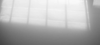 Gölge Arkaplan Arkaplanı Ayrıntılı Duvar Işığı Efekti Beyaz Bitki Arka Planı Moda Minimum Baharı Gri Görüntü Görüntü Şablonu Poster Kartı.