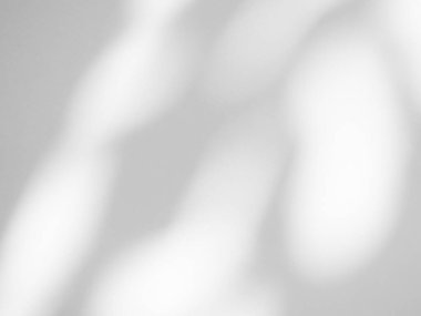 Gölge Arkaplan Arkaplanı Ayrıntılı Duvar Işığı Efekti Beyaz Bitki Arka Planı Moda Minimum Baharı Gri Görüntü Görüntü Şablonu Poster Kartı.