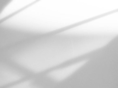 Gölge Arkaplan Arkaplanı Ayrıntılı Duvar Işığı Efekti Beyaz Bitki Arka Planı Moda Minimum Baharı Gri Görüntü Görüntü Şablonu Poster Kartı.