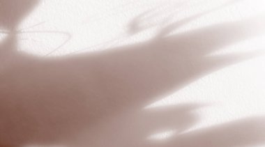 Beige Background Shadow Plant Leaf Tree Nature Wall Light Floor Abstract Branch Backdrop Pastel Nude Color Shade Cement Blur Foliage Empty Mockup Product Beauty Cosmetic Presentation Templete Card.