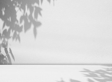 Arka plan Zemini Gölgesi Mutfak Beton Beyaz Doku Aydınlatma Özet Model Model Ürün Odası Mermer Stüdyo Görünüm Tesisi Çimento 3d Bg Asgari Baraj Çubuğu Silueti Arkaplan Kalkışı.