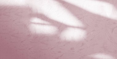 Bej Arkaplan Soyut Arkaplan Efekti Pastel Gradyan Çıplak Renk Model Güzellik Sunumu Gölge Duvarı Çimento Duvar Şablonu Eski Gül Şablonu.