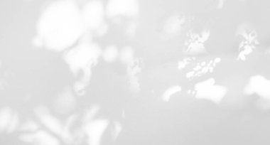 Gölge Arkaplan Arkaplanı Ayrıntılı Duvar Işığı Efekti Beyaz Bitki Arka Planı Moda Minimum Baharı Gri Görüntü Görüntü Şablonu Poster Kartı.