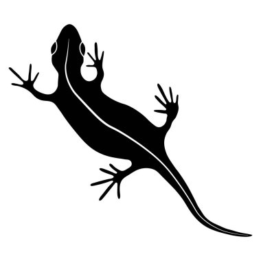 Lizard reptile gecko black silhouette vector illustration. Simple black silhouette illustration isolated on white background. Template for prints