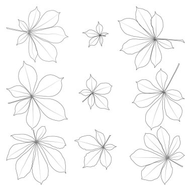 Kestane yaprağı taslak simgesi seti. Basit kestane rengi logo için çizimler bırakır. Gerçekçi el çizimi yapraklar beyaz arkaplanda.