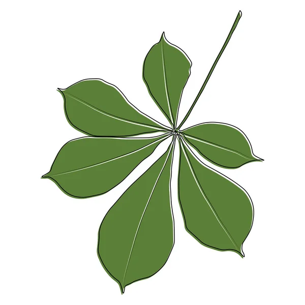 Vector Chestnut Leaf Outline Coloured Icon Simple Chestnut Leaves Illustration — Stock Vector