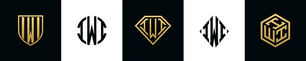 Iwi 디자인 다이아몬드 직사각형 육각형 로고로 통합되는 템플릿 — 스톡 벡터