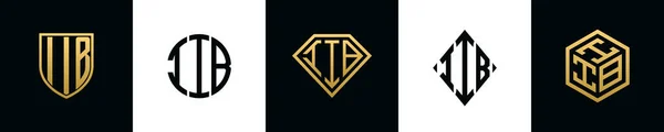 Iib 디자인 다이아몬드 직사각형 육각형 로고로 통합되는 템플릿 — 스톡 벡터