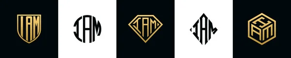 Iam 디자인 다이아몬드 직사각형 육각형 로고로 통합되는 템플릿 — 스톡 벡터