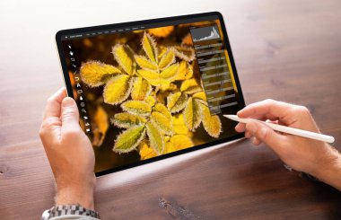 Tablet üzerinde stil kalem ve düzenleme fotoğrafı kullanan kişi