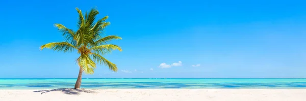 Sztandar Panoramiczny Zdjęcie Idyllicznej Tropikalnej Plaży Palmą — Zdjęcie stockowe