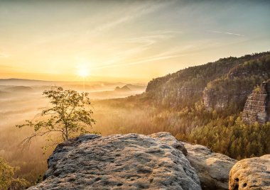 Sabahları Sakson İsviçre 'nin güzel manzarası.