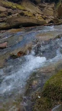 Pürüzsüz kayaların ve güneş ışığında yosunlu taşların üzerinden hızlı bir nehir akıntısı. Doğa videosu orman manzarasında güçlü akıntı ve kabaran şelaleleri gösteriyor..