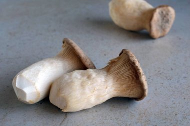 Üç taze kral istiridye mantarı dokulu taş yüzeyde doğal organik gıda arka planı oluşturur. Vejetaryen mutfağı, sağlıklı tarifler, tarım ürünleri promosyonları ve pazarlama görselleri için mükemmel.