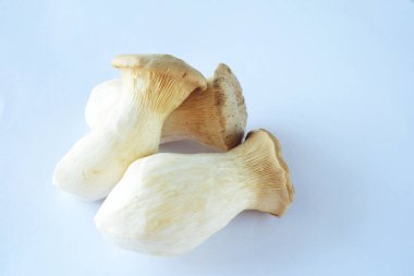 İki kral istiridye mantarının yakın plan temiz beyaz arka planda yan yana yerleştirilmesi. Vejetaryen menüleri, sağlıklı mutfak görselleri ve çevre dostu çiftlik ürünleri için mükemmel..