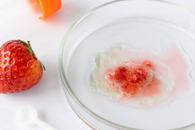 Gelişmiş Botrytis cinerea enfeksiyonlu Petri kabında çilek, bilimsel gıda araştırmalarında geç dönem yiyeceklerinin bozulduğunu gösteren geniş bir yüzey kalıbı.