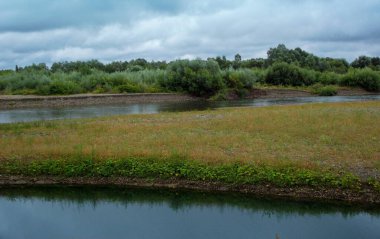 Çimenli sulak arazi sakin nehir kenarı ve bulutlu yaz gökyüzü doğal habitat bölgesinde eko turizm konsepti veya doğa koruma teması için peyzaj formatında yakalandı.
