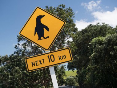 Yeni Zelanda 'daki Matarangi plajının arka planında deniz olan beyaz bir kumsalda hala dimdik duran dramatik ölü bir ağaç.