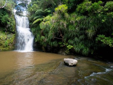 A view of lush green tropical leaves with Waitangi waterfalls cascading into a pool in the Omeru Scenic Reserve.A boulder stone sits in the pool.