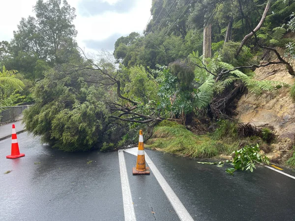 View down a road shows a land slip with trees and mud blocking a road after serious heavy rainfall in New Zealand.Warning signs.National emergency.Climate change.Extreme weather event