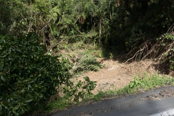 Following tropical storm Cyclone Gabrielle a land slide creating a crater where land once was.Roadside edge can be seen to have been broken away.Fallen trees .New Zealand.