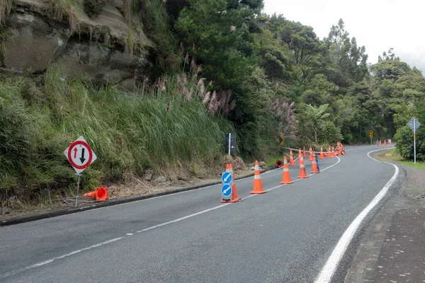 Following tropical storm Cyclone Gabrielle a land slip has occurred blocking one half of a road.Orange safety cones are in place around the fallen trees and mud.Safety signs with arrows for priority traffic are visible.New Zealand.